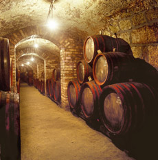 Barriles de vino en una bodega